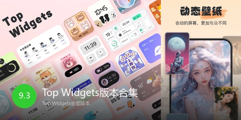 Top Widgets版本合集