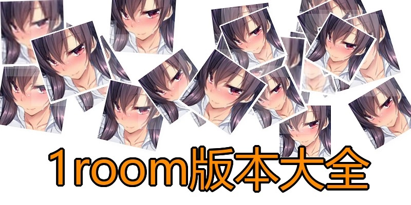 1room版本大全