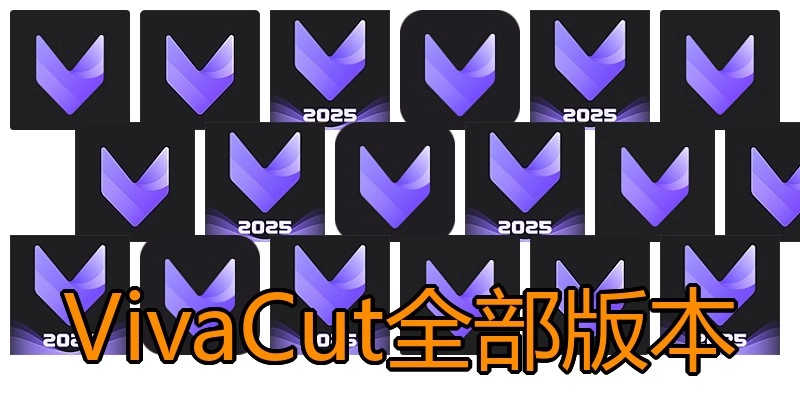 VivaCut全部版本