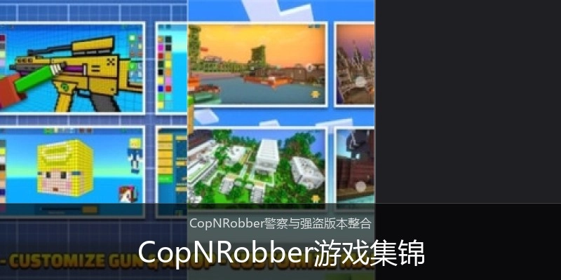 CopNRobber游戏集锦
