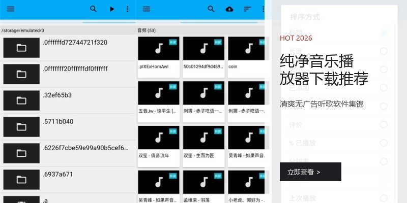 纯净音乐播放器下载推荐