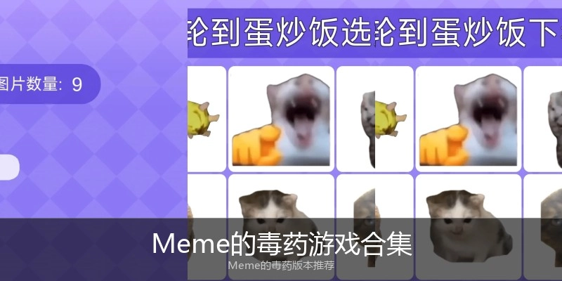 Meme的毒药游戏合集