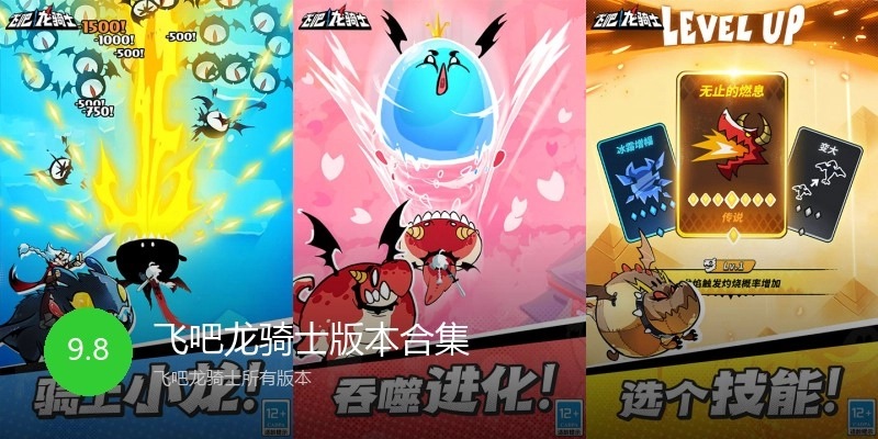 飞吧龙骑士版本合集