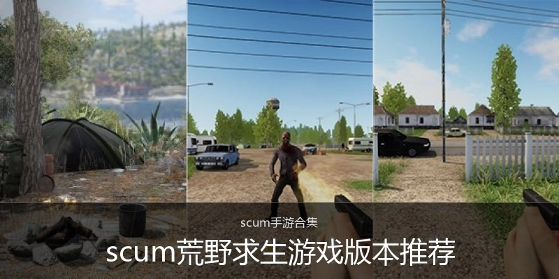 scum荒野求生游戏版本推荐