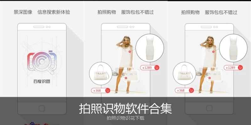 拍照识物软件合集