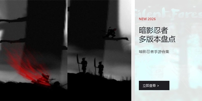 暗影忍者多版本盘点