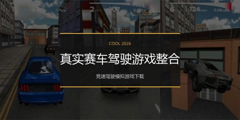 真实赛车驾驶游戏整合