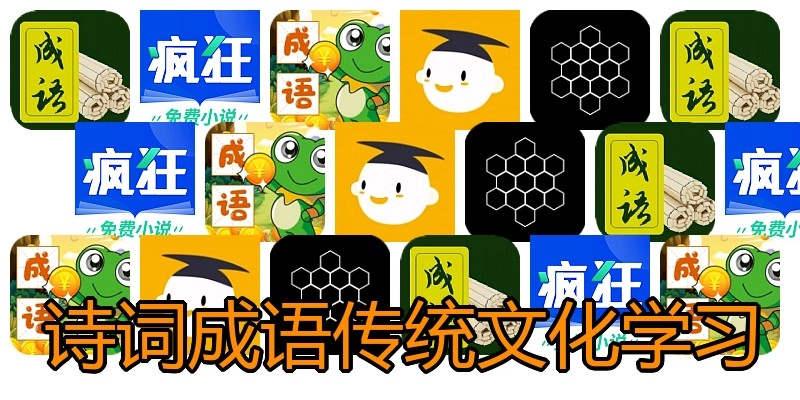 诗词成语传统文化学习
