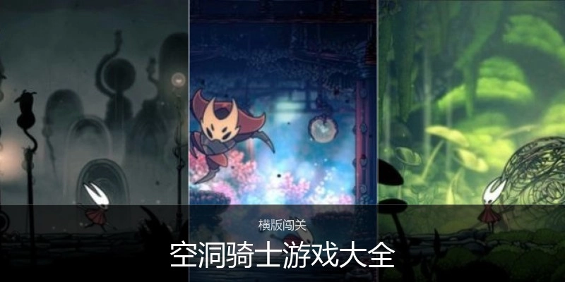 空洞骑士游戏大全