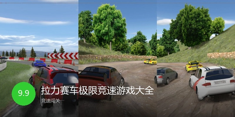 拉力赛车极限竞速游戏大全