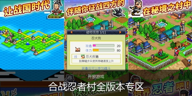 合战忍者村全版本专区
