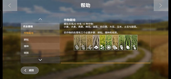 游戏攻略截图17