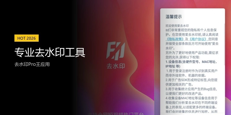 专业去水印工具