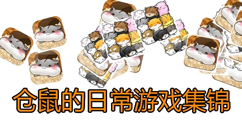 仓鼠的日常游戏集锦