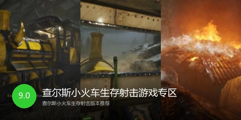 查尔斯小火车生存射击游戏专区