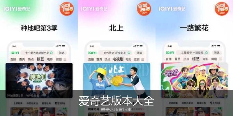 爱奇艺版本大全