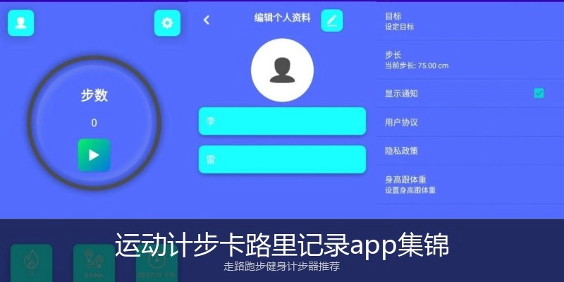 运动计步卡路里记录app集锦