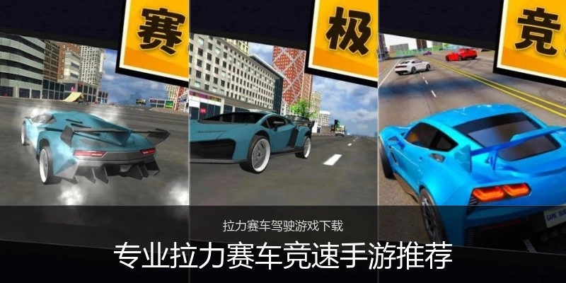 专业拉力赛车竞速手游推荐