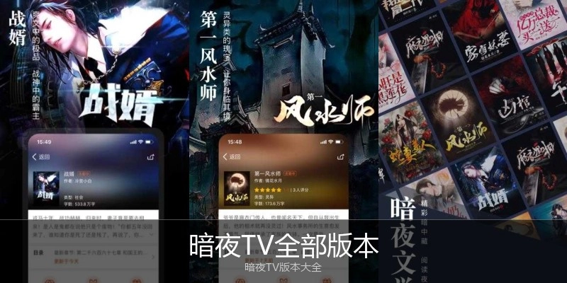 暗夜TV全部版本