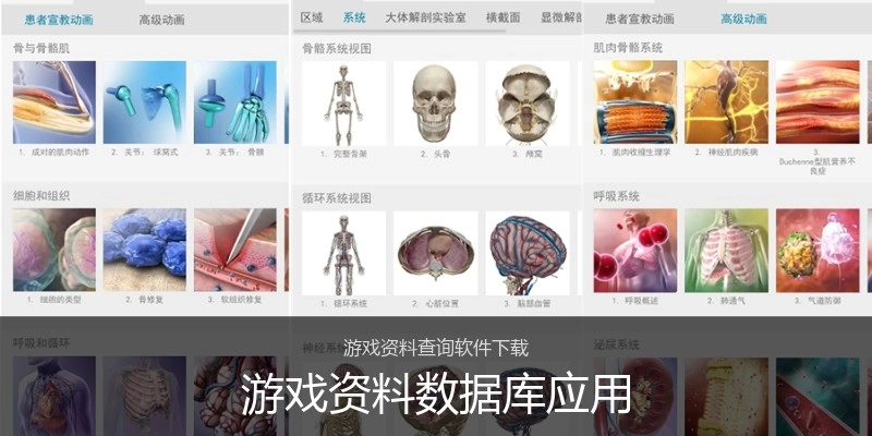 游戏资料数据库应用