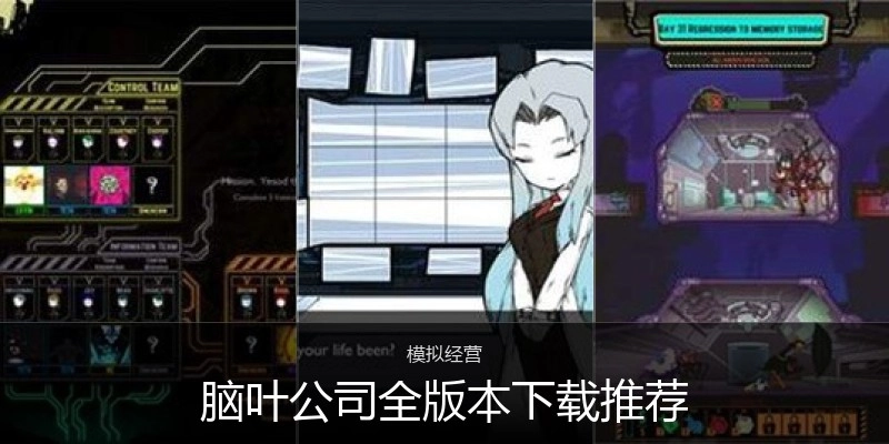 脑叶公司全版本下载推荐