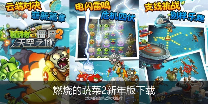 燃烧的蔬菜2新年版下载