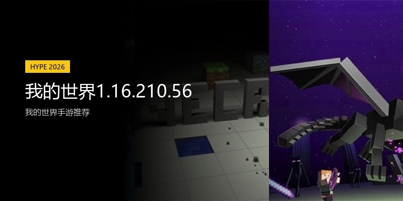 我的世界1.16.210.56