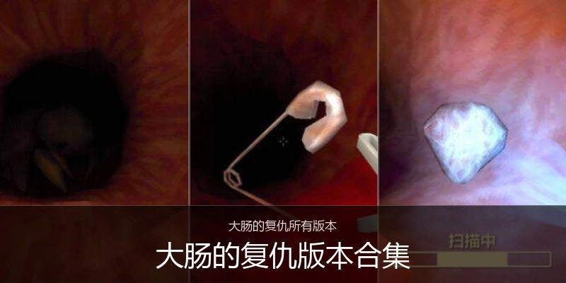 大肠的复仇版本合集