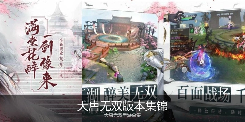 大唐无双版本集锦