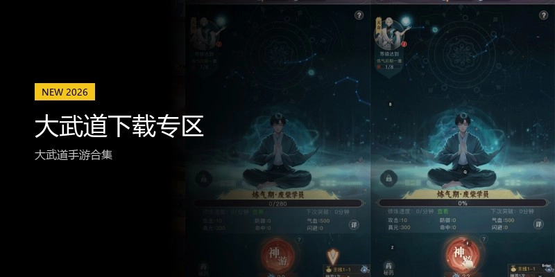 大武道下载专区