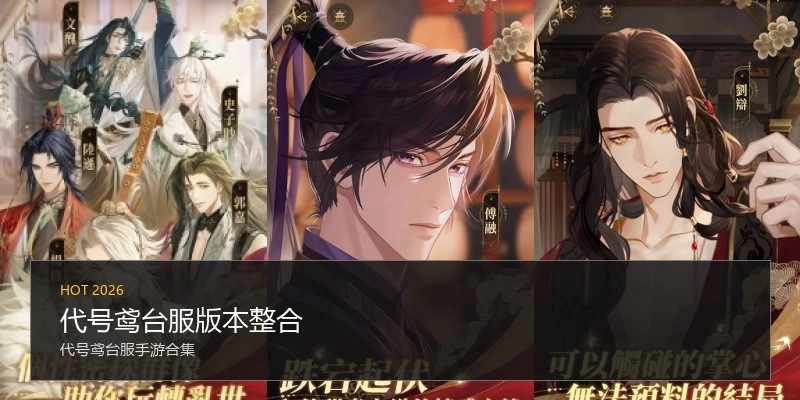 代号鸢台服版本整合