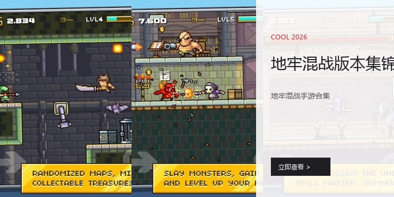 地牢混战版本集锦