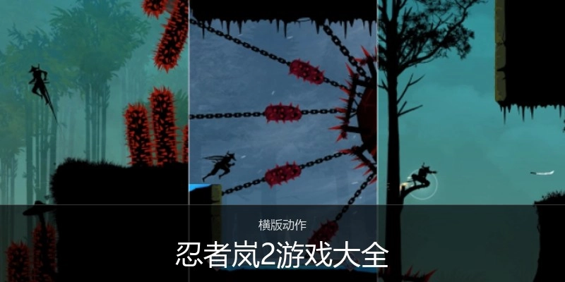 忍者岚2游戏大全