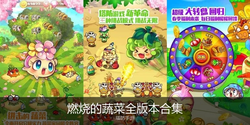 燃烧的蔬菜全版本合集