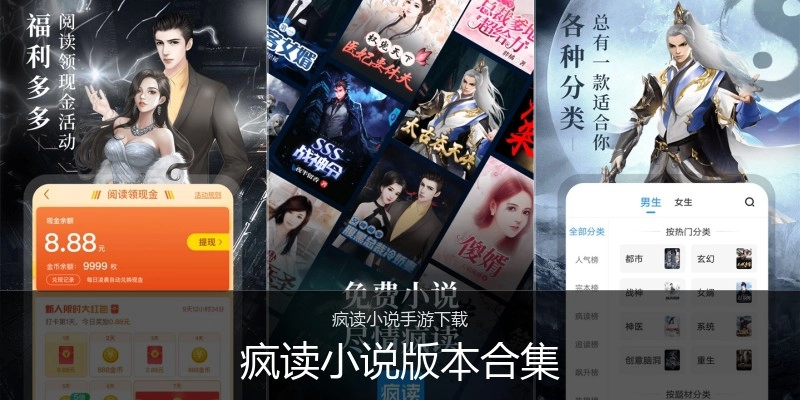 疯读小说版本合集