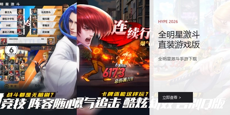 全明星激斗直装游戏版