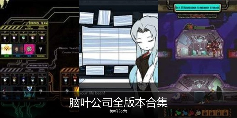 脑叶公司全版本合集