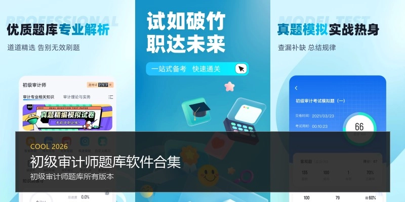 初级审计师题库软件合集