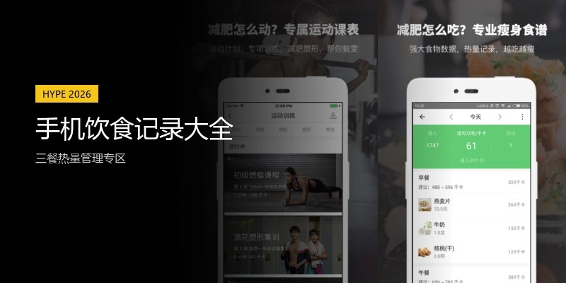 手机饮食记录大全