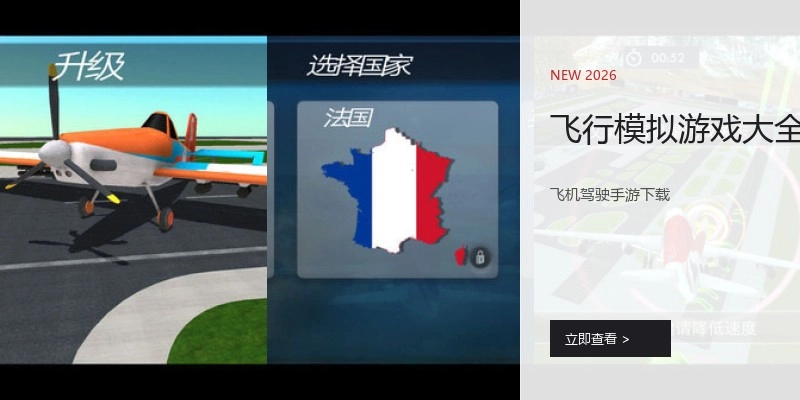 飞行模拟游戏大全