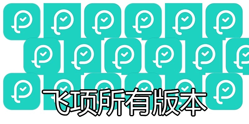 飞项所有版本