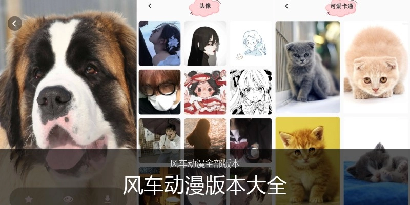风车动漫版本大全