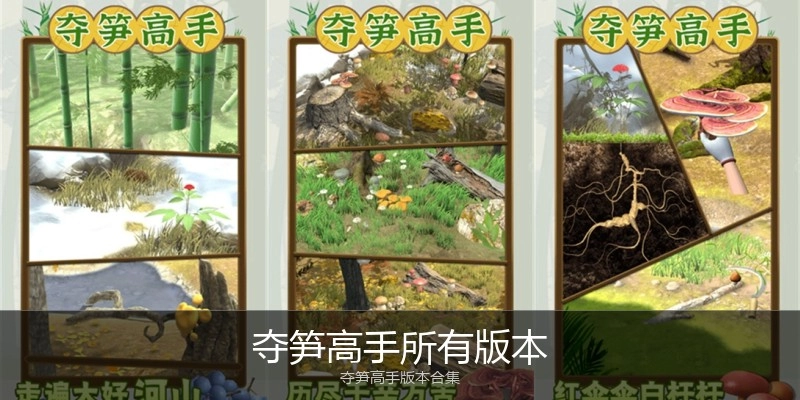 夺笋高手所有版本
