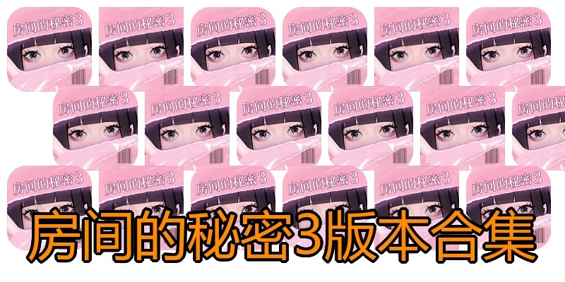 房间的秘密3版本合集