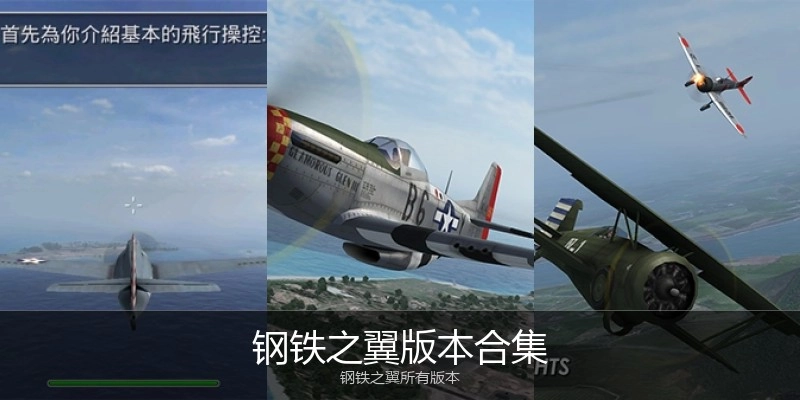 钢铁之翼版本合集