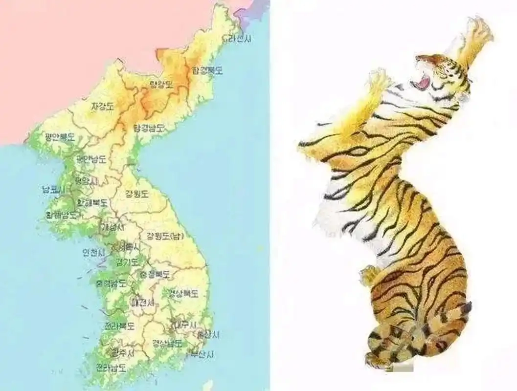 老虎地图版本大全