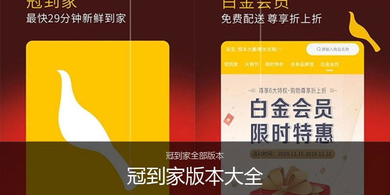 冠到家版本大全