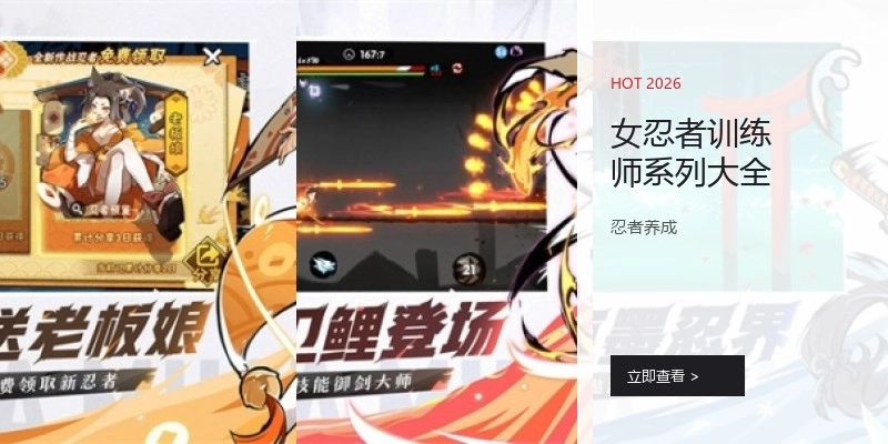 女忍者训练师系列大全