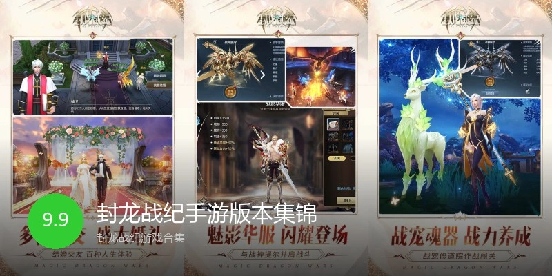 封龙战纪手游版本集锦