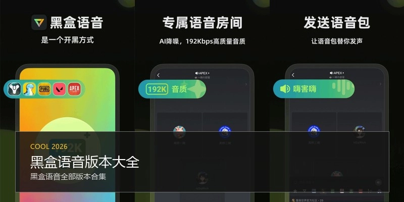 黑盒语音版本大全